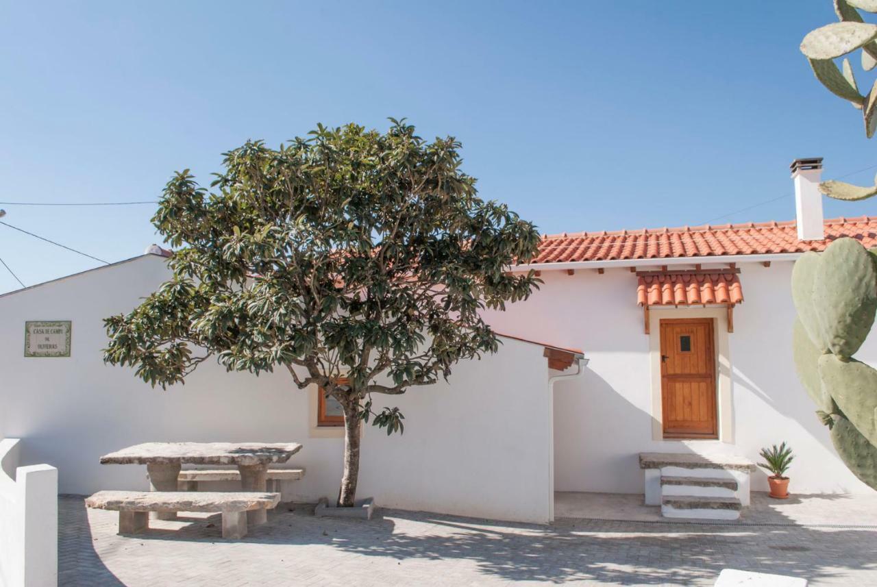 Casa De Campo De Oliveiras 佩内拉 外观 照片