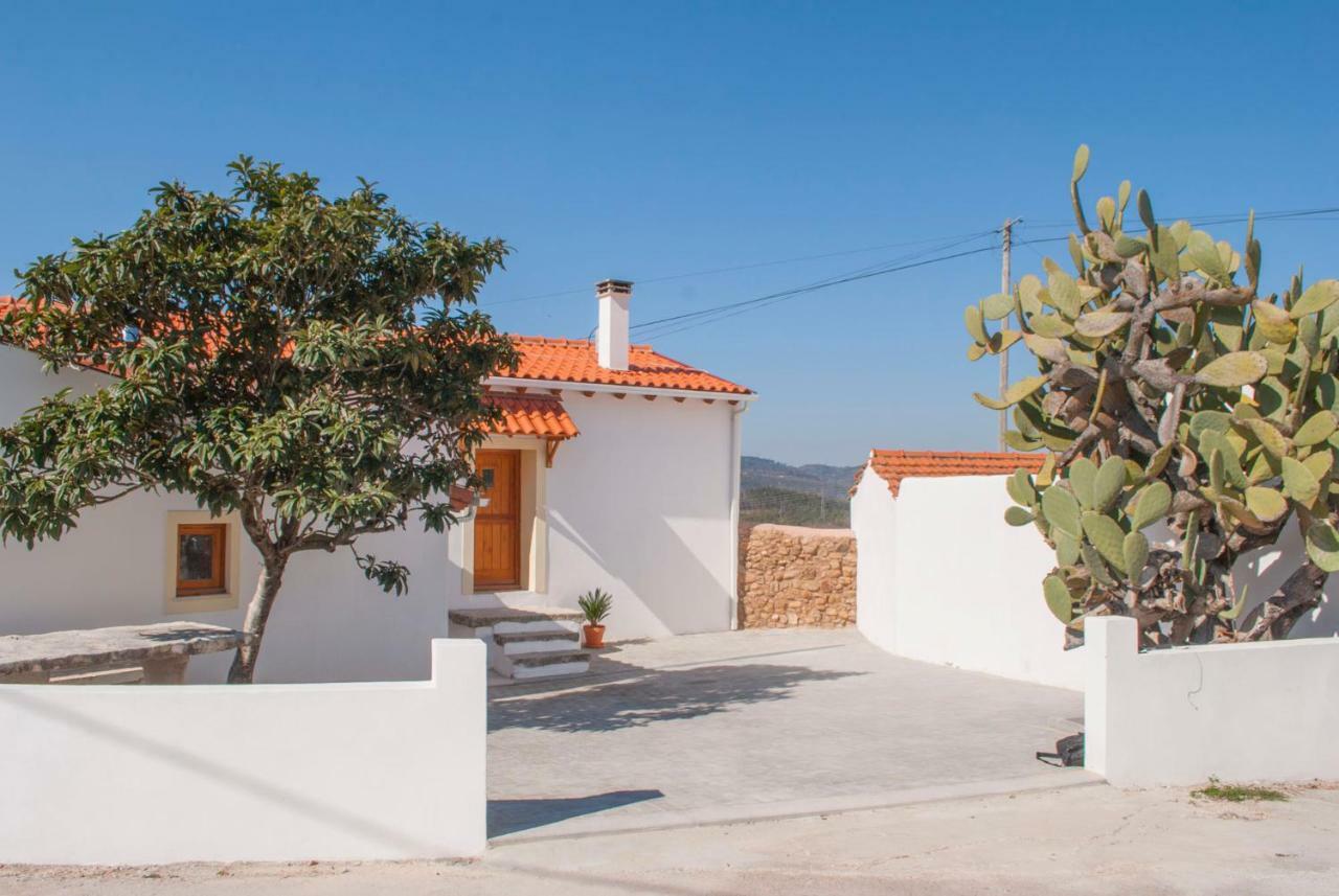 Casa De Campo De Oliveiras 佩内拉 外观 照片